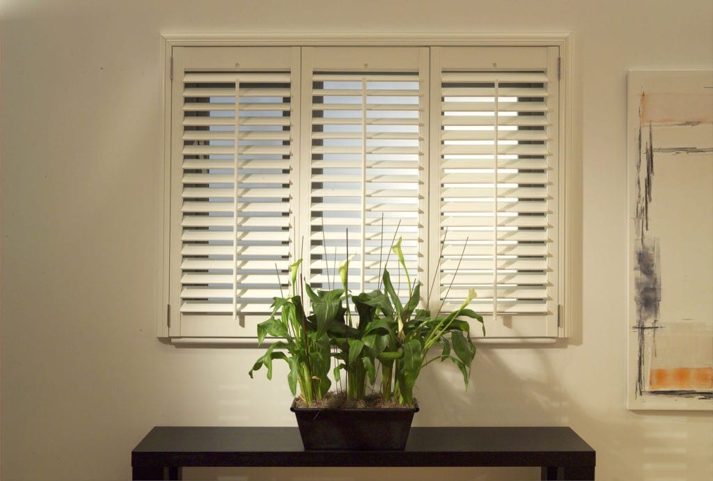 White full height shutters on a window above a table with a plant